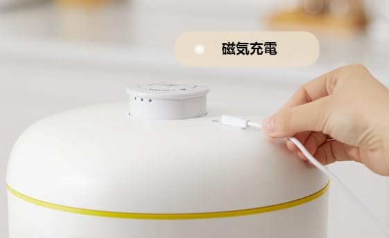 Amazon｜真空保存容器 真空 保存容器 防虫/湿気防止/酸化防止 米櫃 10L